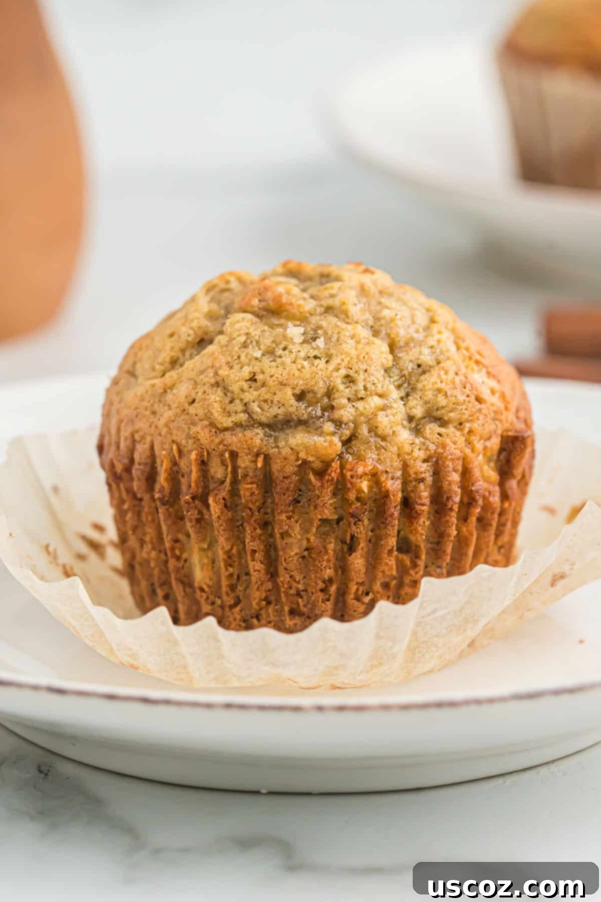 Foolproof Banana Bread Muffins 2 banana bread muffin