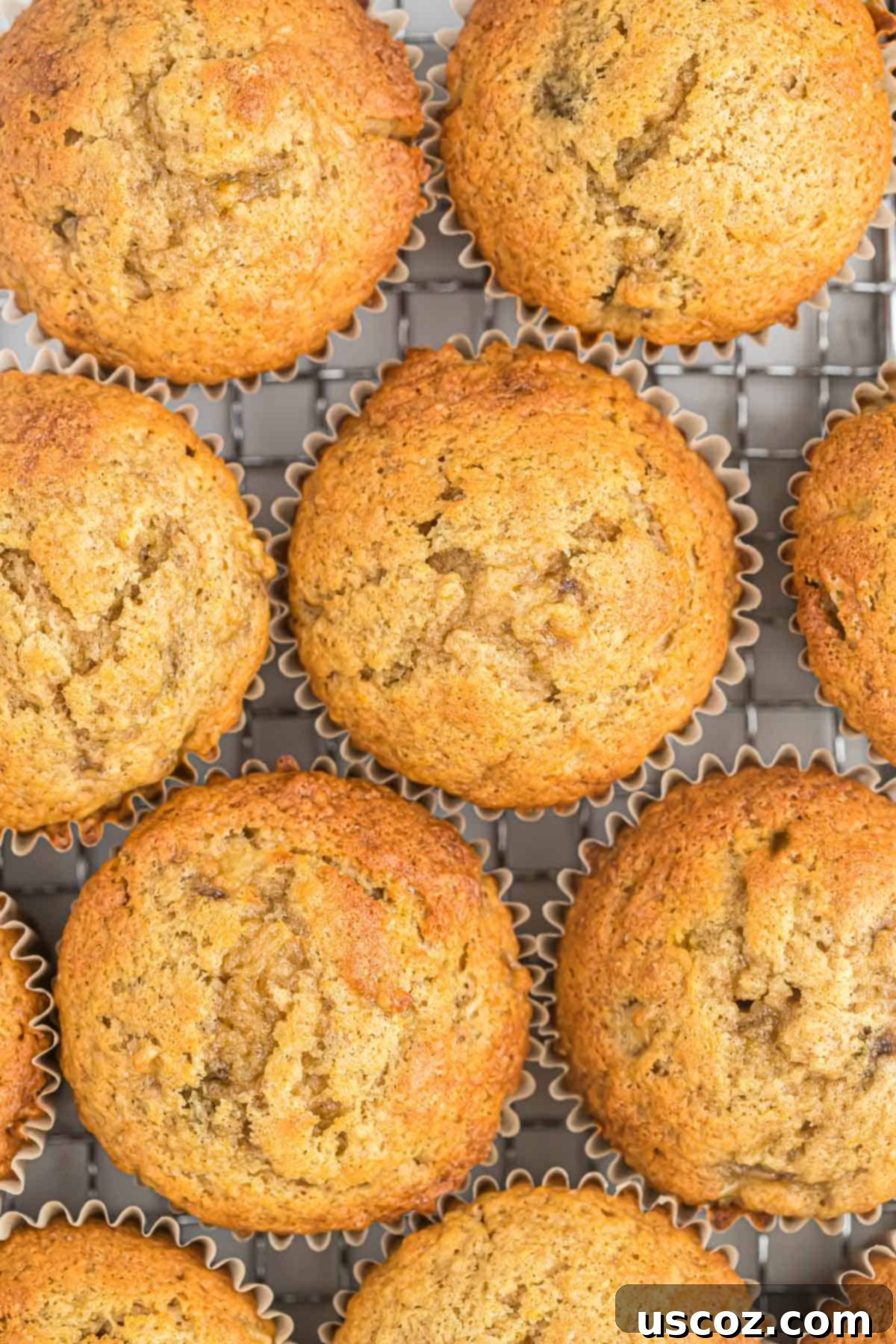 Foolproof Banana Bread Muffins 3 banana bread muffins on a wire cooling rack