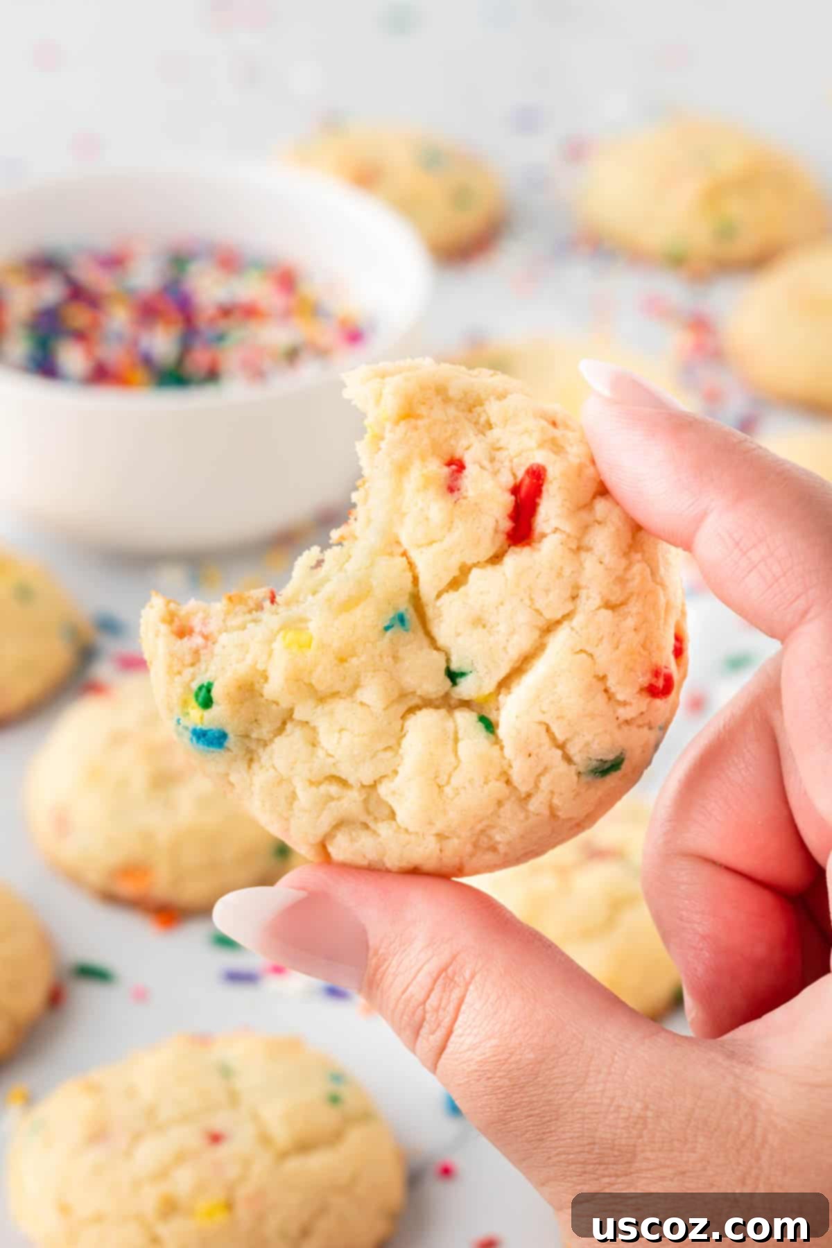 Simple Cake Mix Delights 18 A hand holding a funfetti cake mix cookie with a bite taken out, showing the soft texture and colorful sprinkles.