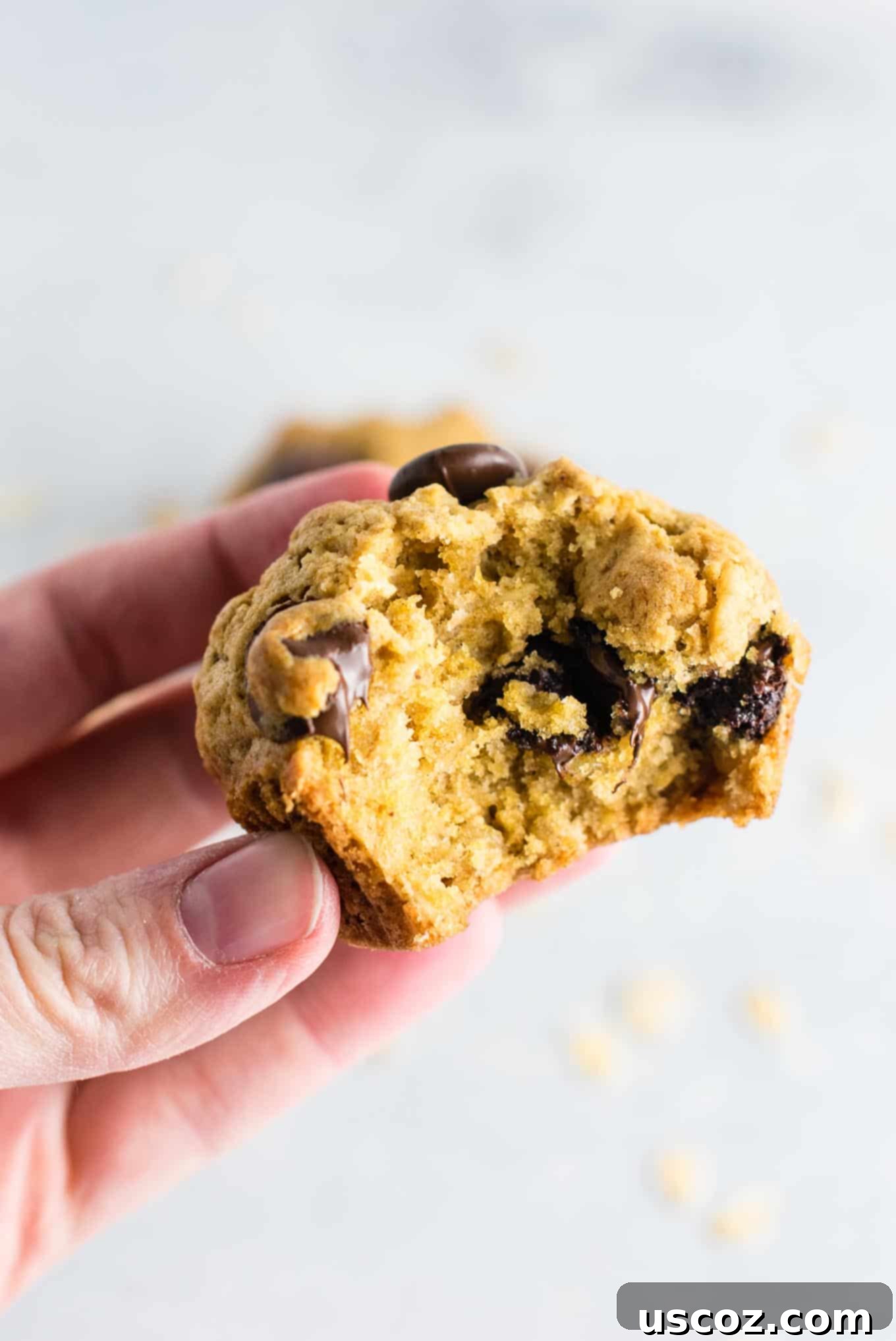 Chewy Oatmeal Chocolate Chip Cookie Muffins 5 Oatmeal chocolate chip cookie muffins - breakfast that tastes like dessert! #chocolatechipmuffins #healthy #breakfast #wholewheat #oatmealchocolatechip
