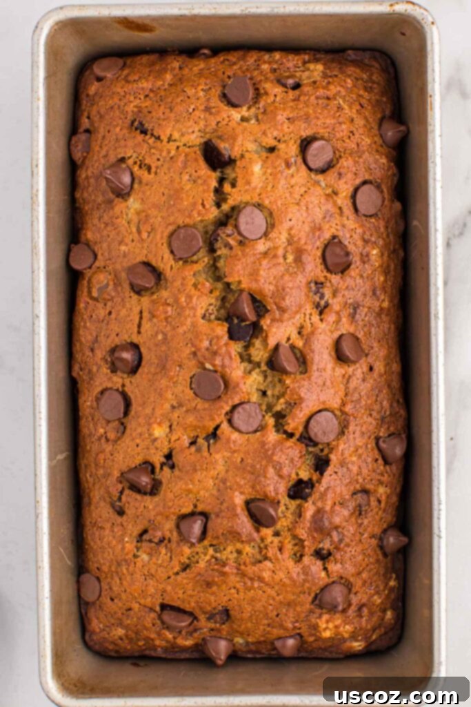 The Ultimate Chocolate Chip Banana Bread 9 Baked chocolate chip banana bread in a loaf pan