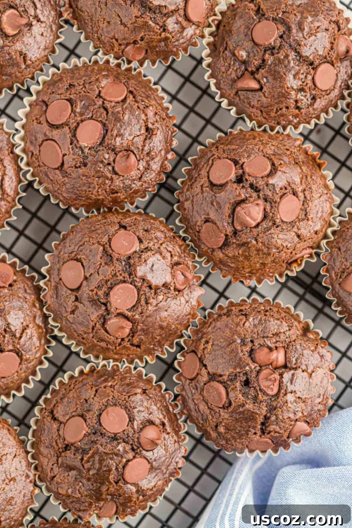 Ultimate Double Chocolate Muffins 2 double chocolate muffins on a cooling rack, freshly baked and ready to enjoy