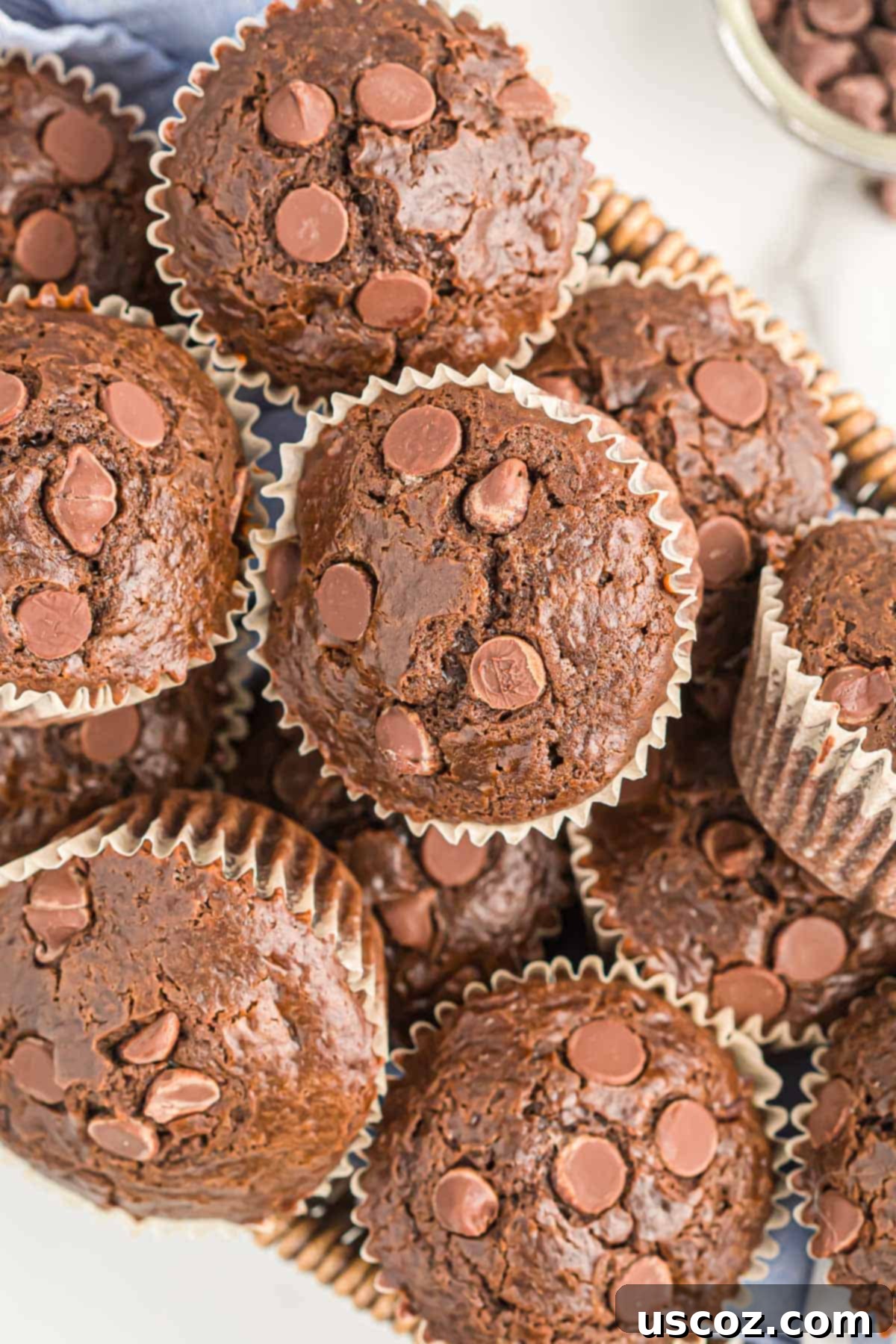 Ultimate Double Chocolate Muffins 13 perfectly baked double chocolate muffins, ready to be enjoyed