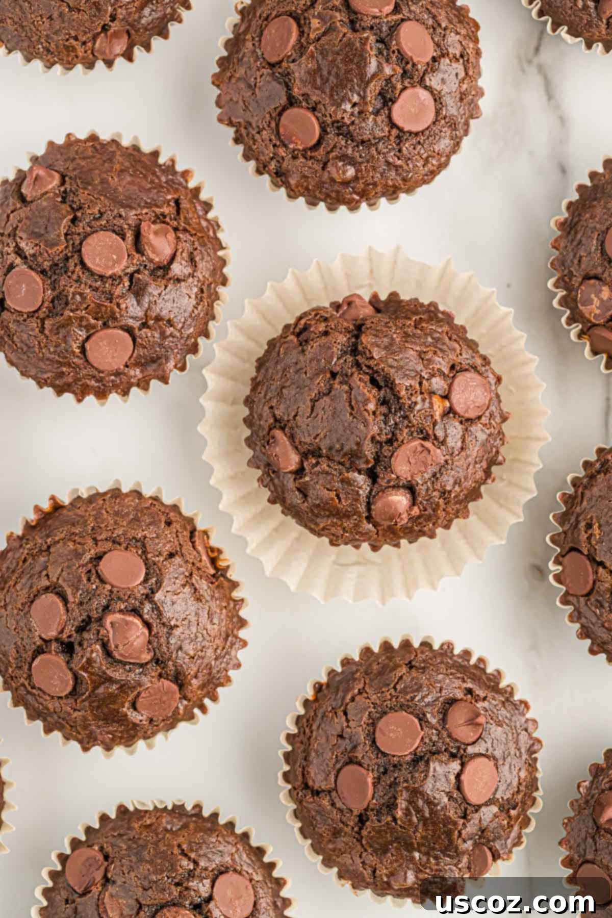 Ultimate Double Chocolate Muffins 14 a delightful arrangement of double chocolate muffins