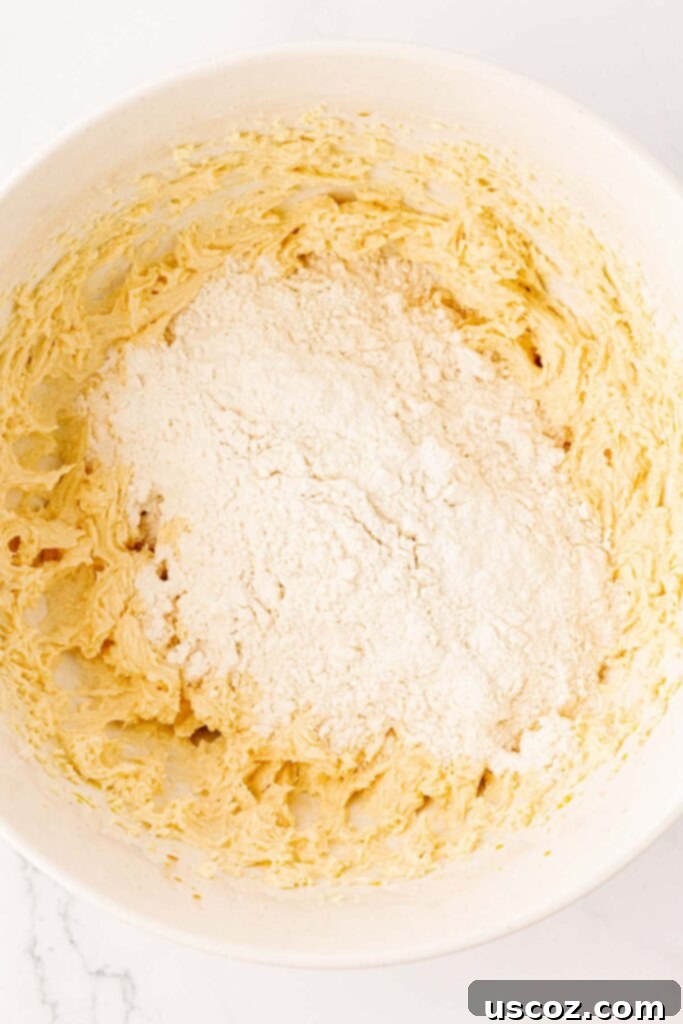 Golden Crisp Chocolate Chip Cookies 11 adding the dry ingredients to the wet ingredients in a mixer