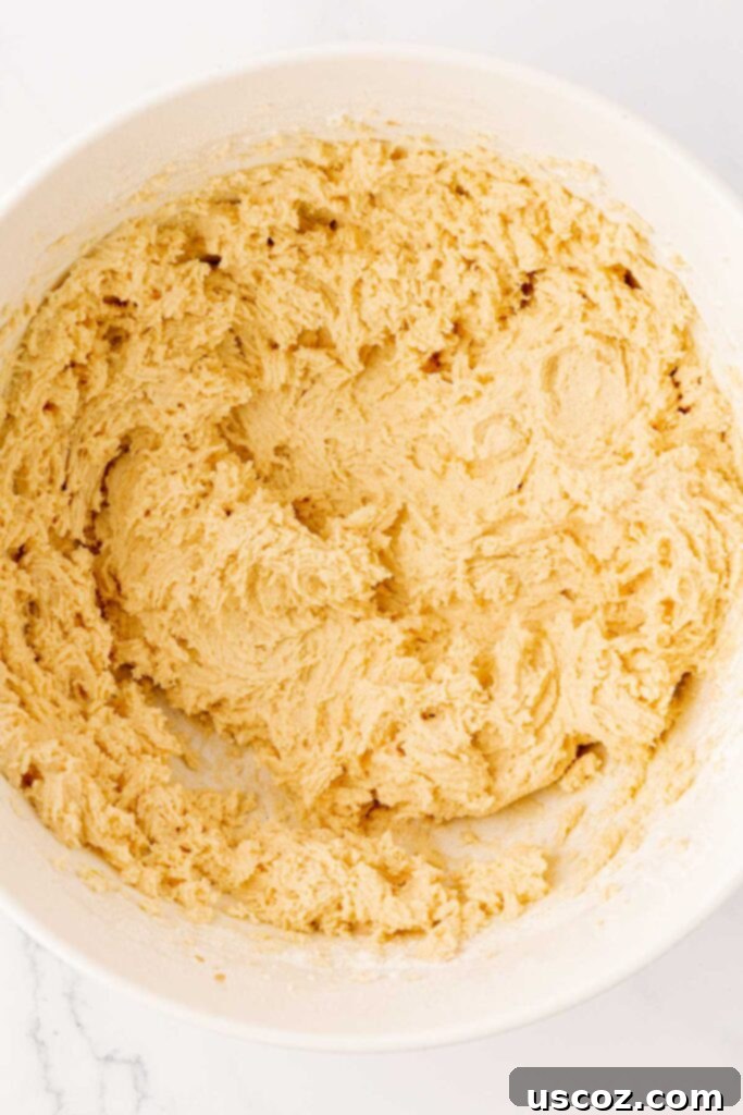 Golden Crisp Chocolate Chip Cookies 12 cookie dough forming in a mixing bowl