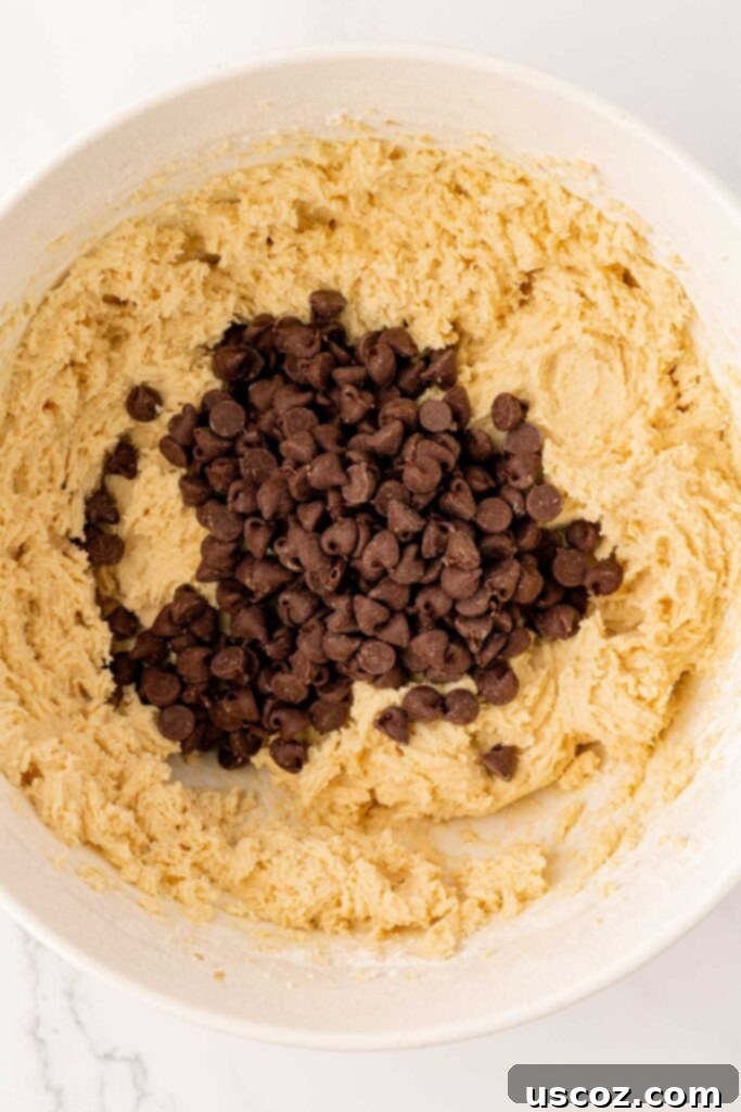 Golden Crisp Chocolate Chip Cookies 13 adding chocolate chips to the cookie dough