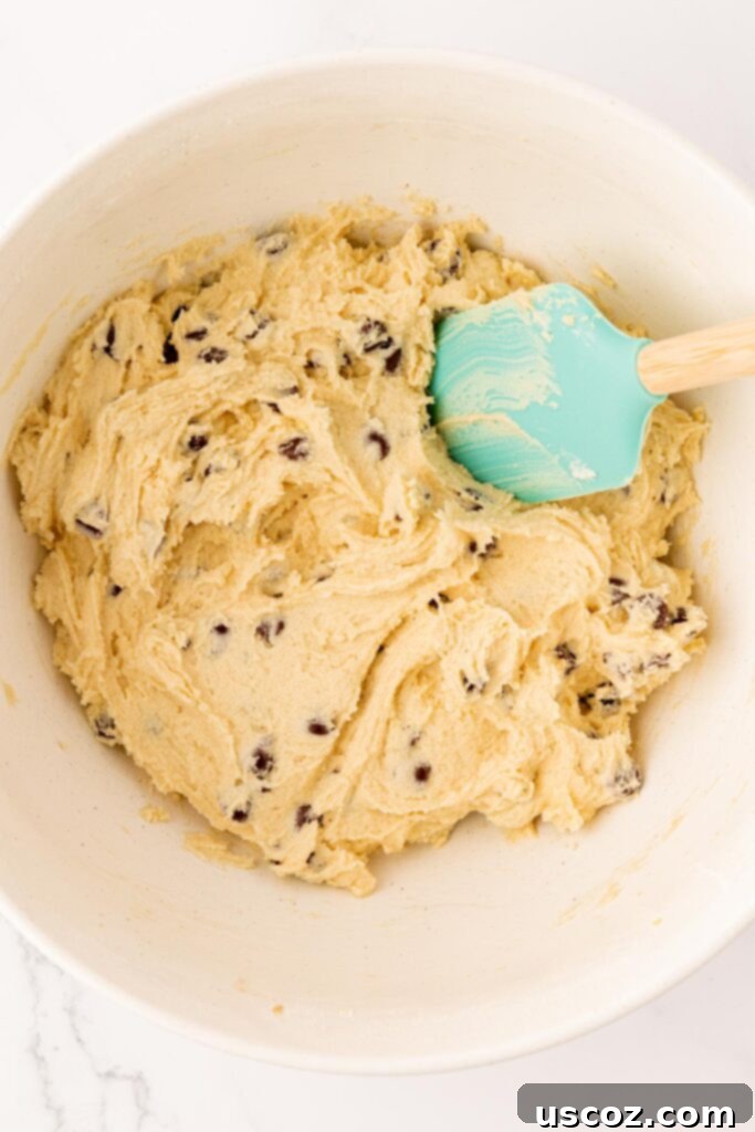Golden Crisp Chocolate Chip Cookies 14 chocolate chip cookie dough mixed together with a rubber spatula