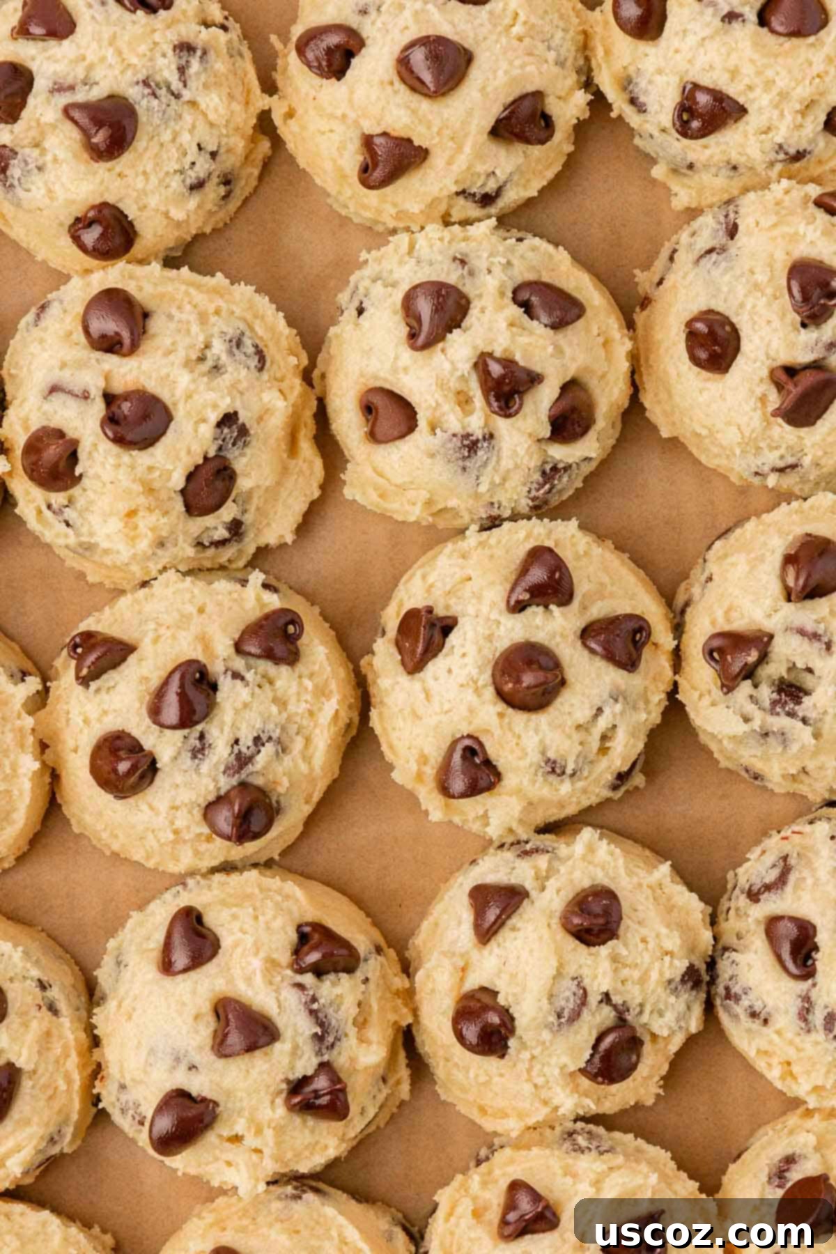 Golden Crisp Chocolate Chip Cookies 15 balls of cookie dough ready for baking