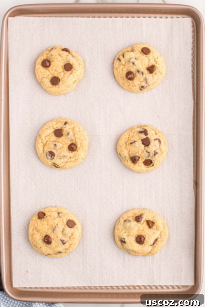 Golden Crisp Chocolate Chip Cookies 17 chocolate chip cookies on a baking sheet after baking