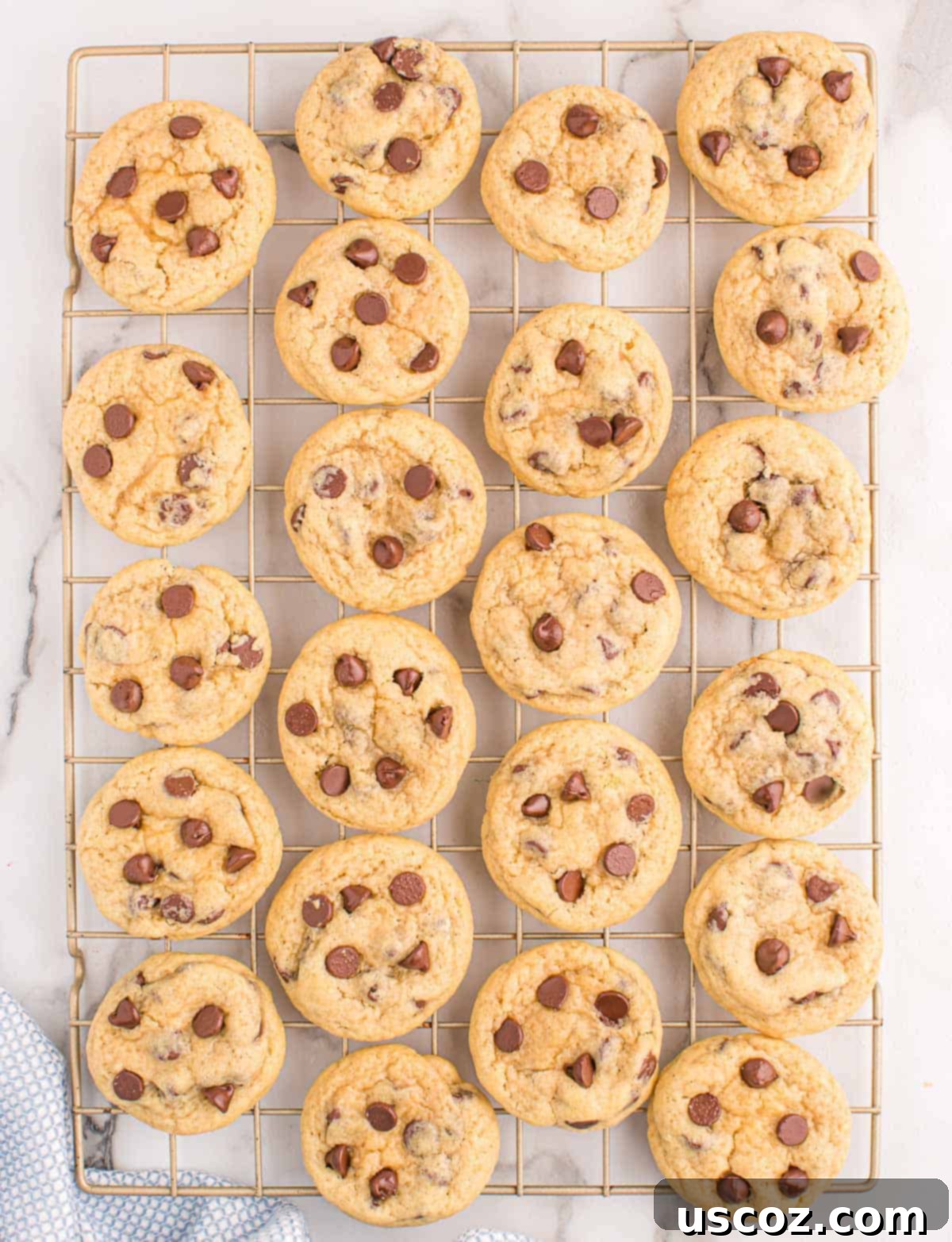 Golden Crisp Chocolate Chip Cookies 18 chocolate chip cookies without brown sugar on a wire cooling rack