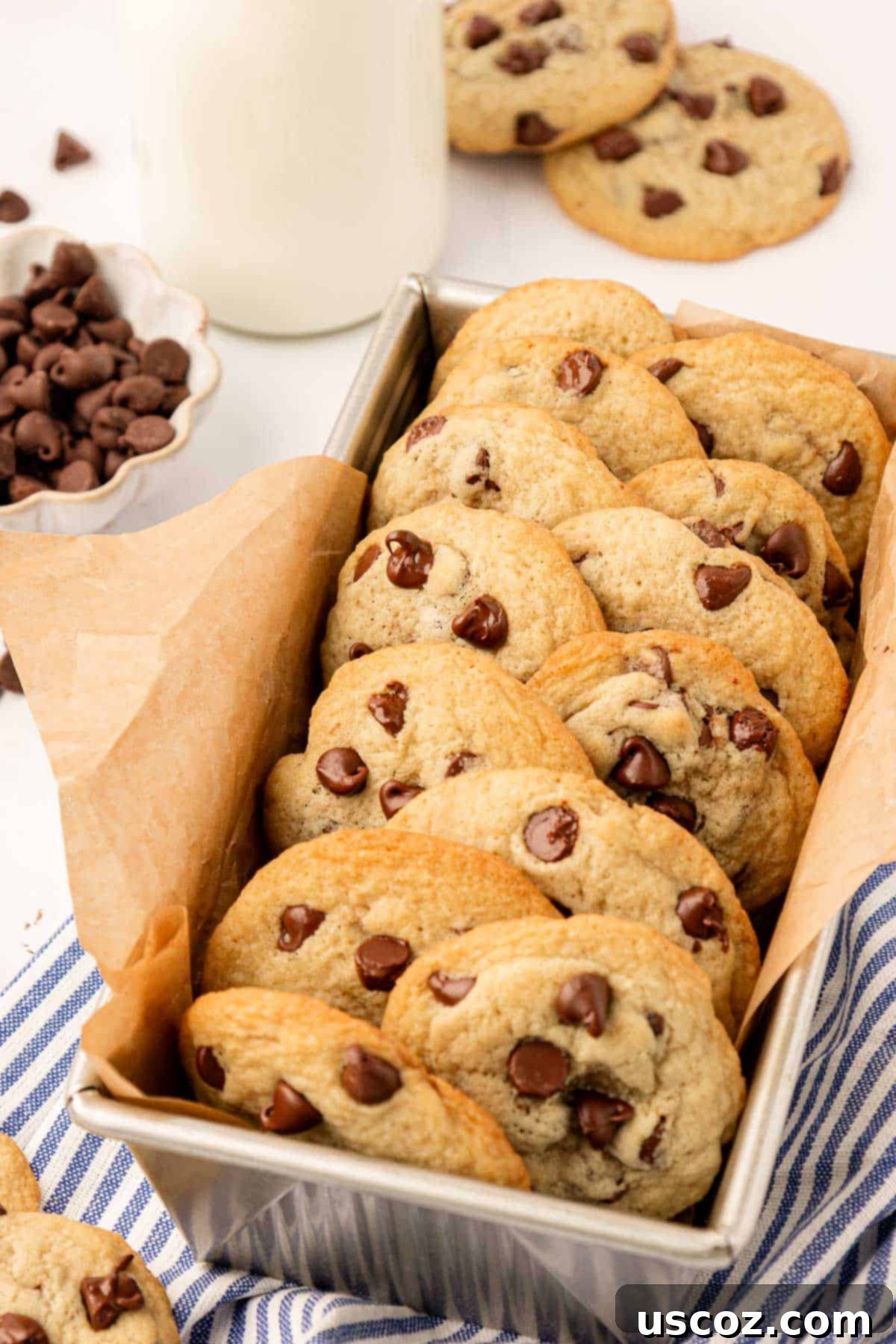 Golden Crisp Chocolate Chip Cookies 20 chocolate chip cookies without brown sugar in a serving tin