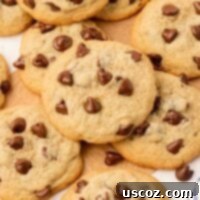 Golden Crisp Chocolate Chip Cookies 22 chocolate chip cookies without brown sugar