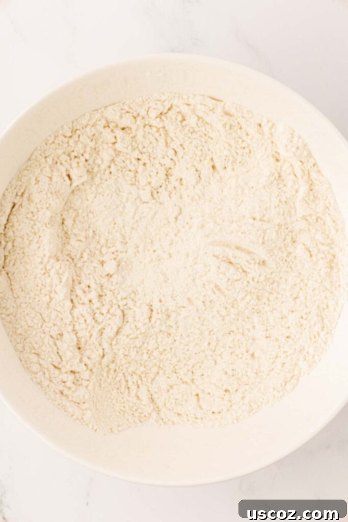 Golden Crisp Chocolate Chip Cookies 6 dry ingredients being mixed in a bowl