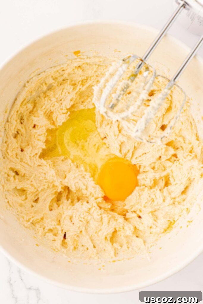 Golden Crisp Chocolate Chip Cookies 7 adding an egg to butter and sugar creamed together