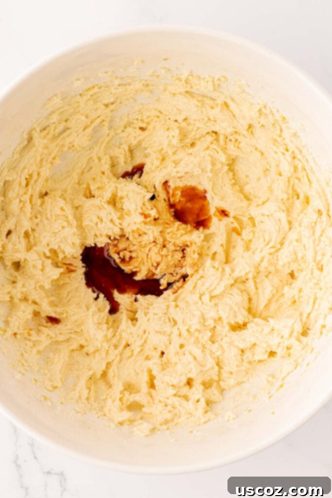Golden Crisp Chocolate Chip Cookies 9 adding vanilla extract to the wet ingredients