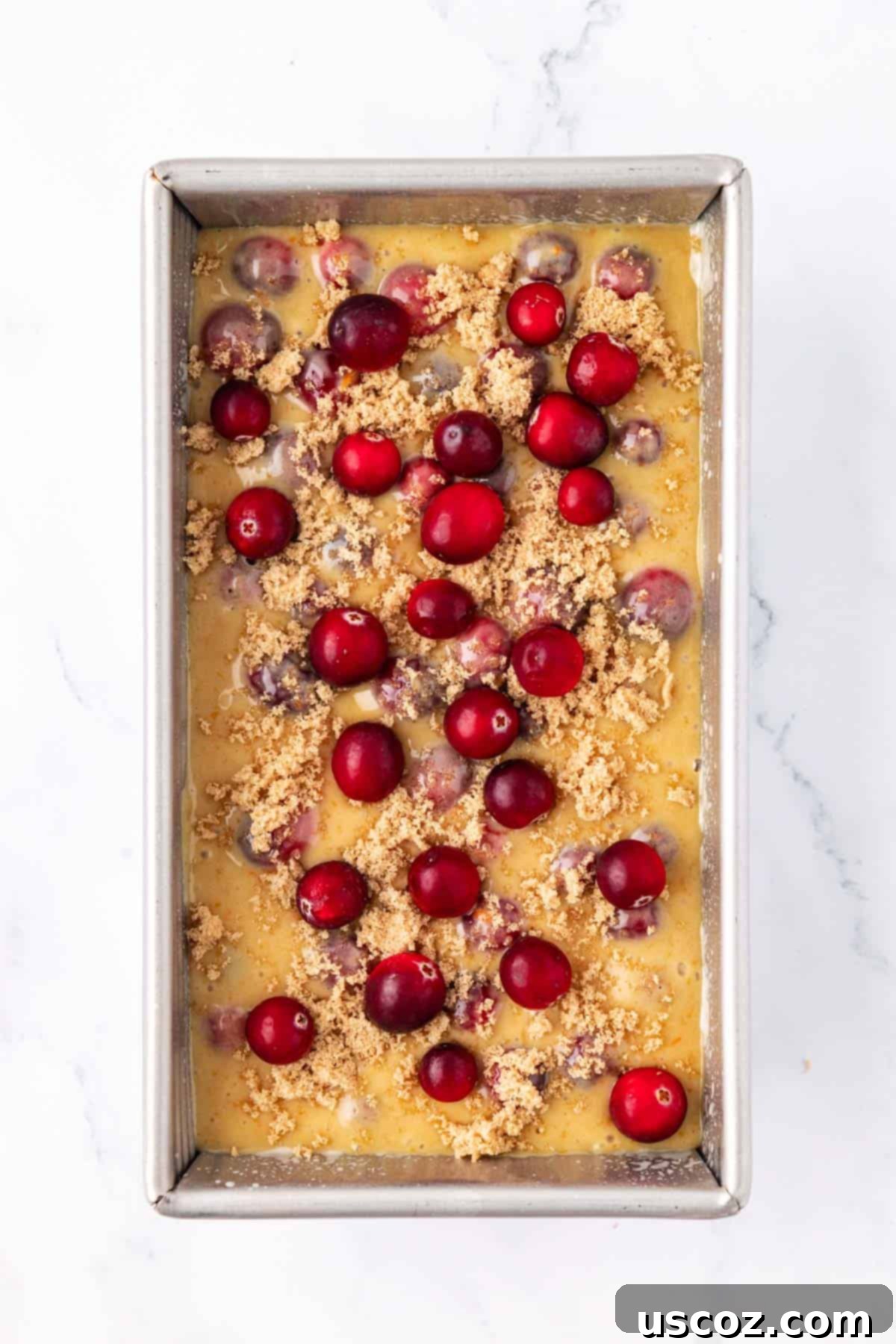 Festive Cranberry Eggnog Bread 14 cranberry eggnog bread batter topped with brown sugar and cranberries