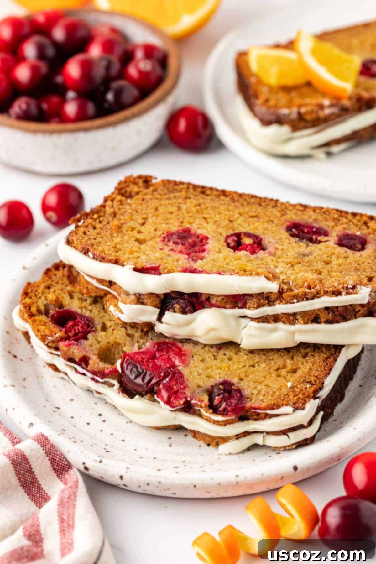 Festive Cranberry Eggnog Bread 16 closeup of cranberry eggnog bread slice