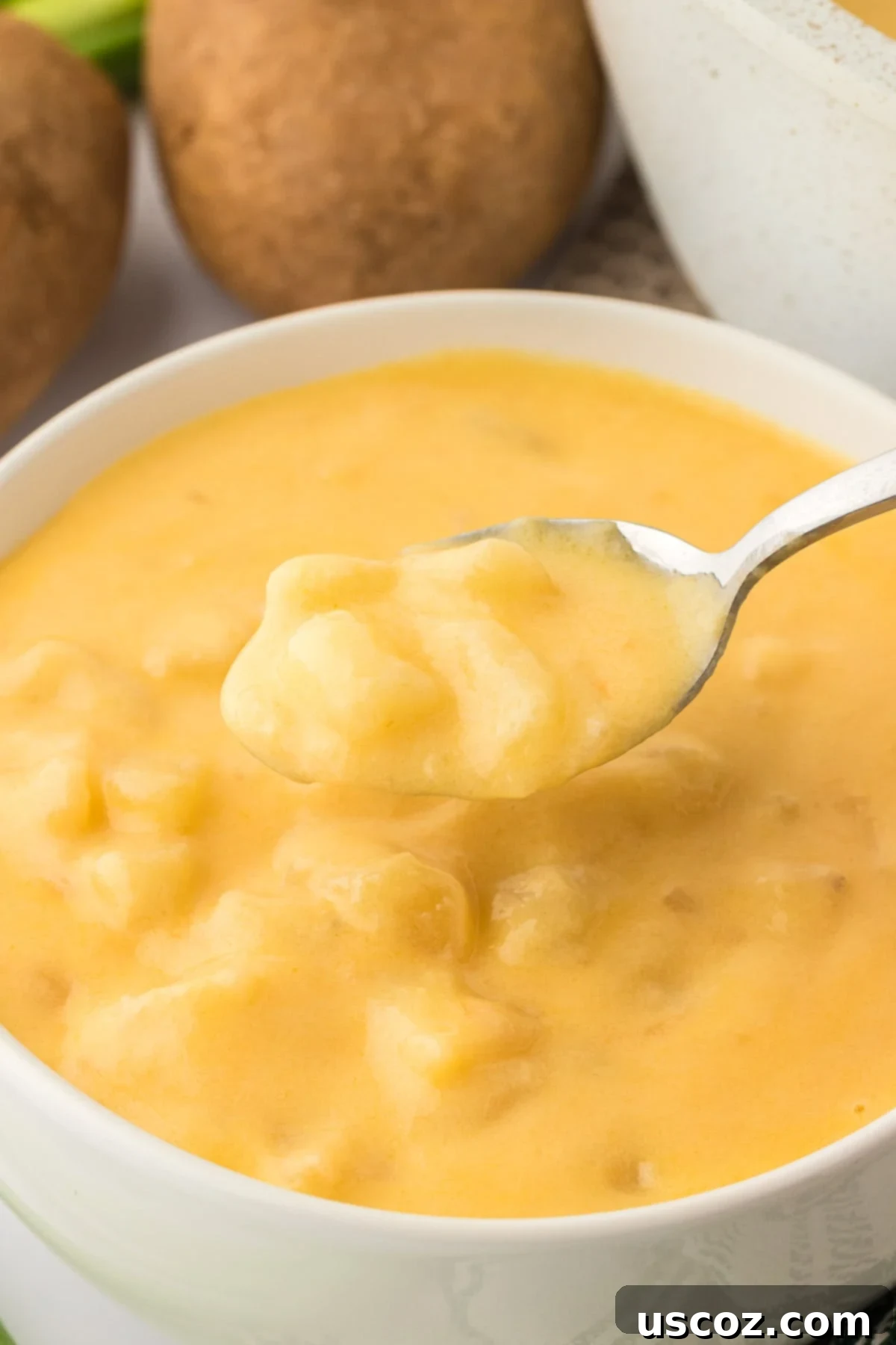 Hearty Potato Comfort 20 A simple yet elegant bowl of thick potato soup, highlighting its creamy texture and comforting appeal.