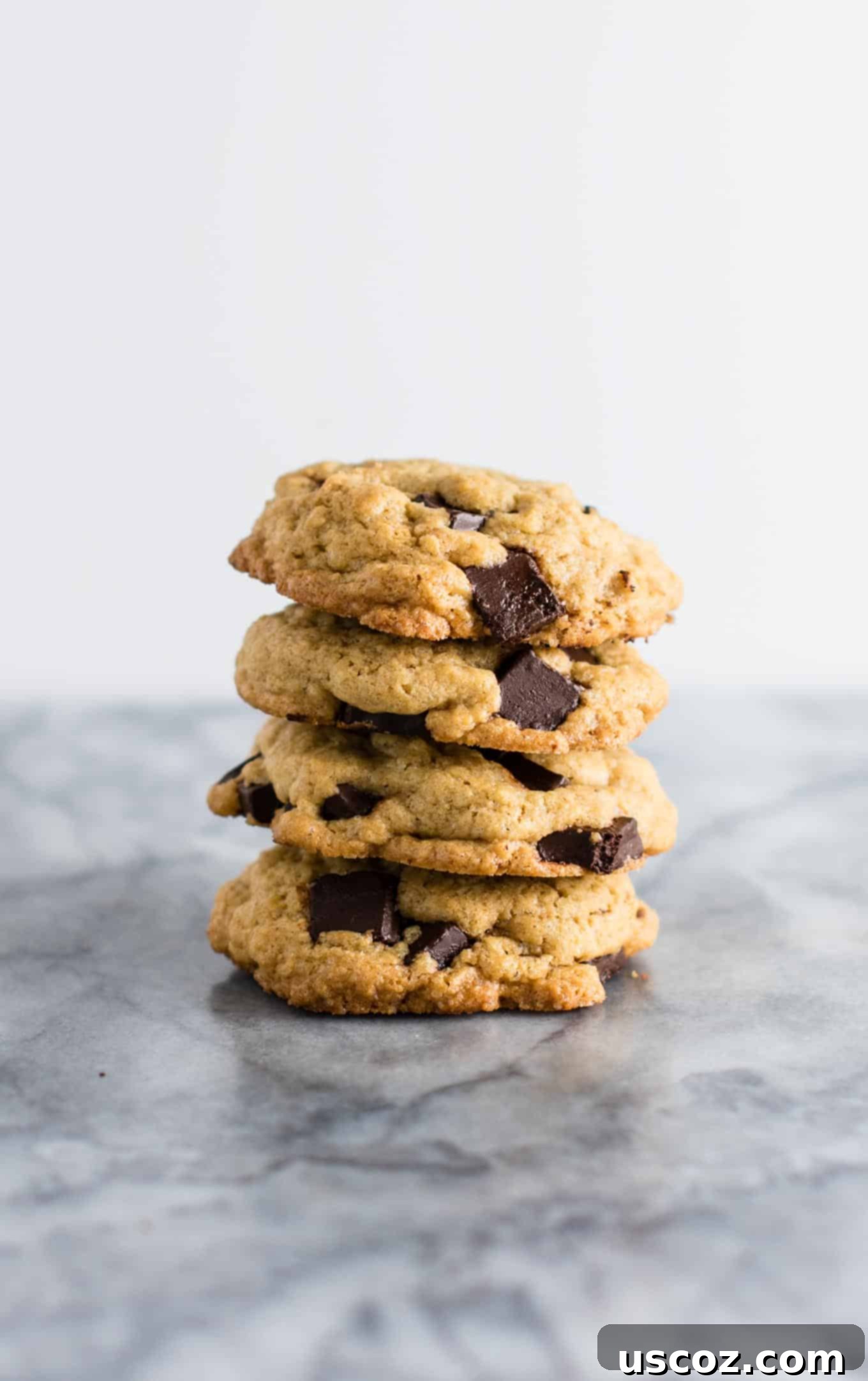 Signature Chocolate Chunk Cookies 2 The BEST homemade chocolate chunk cookies! Perfectly chewy, crispy, and loaded with dark chocolate. #cookies #chocolatechunk #desserts #dairyfree #wholewheat