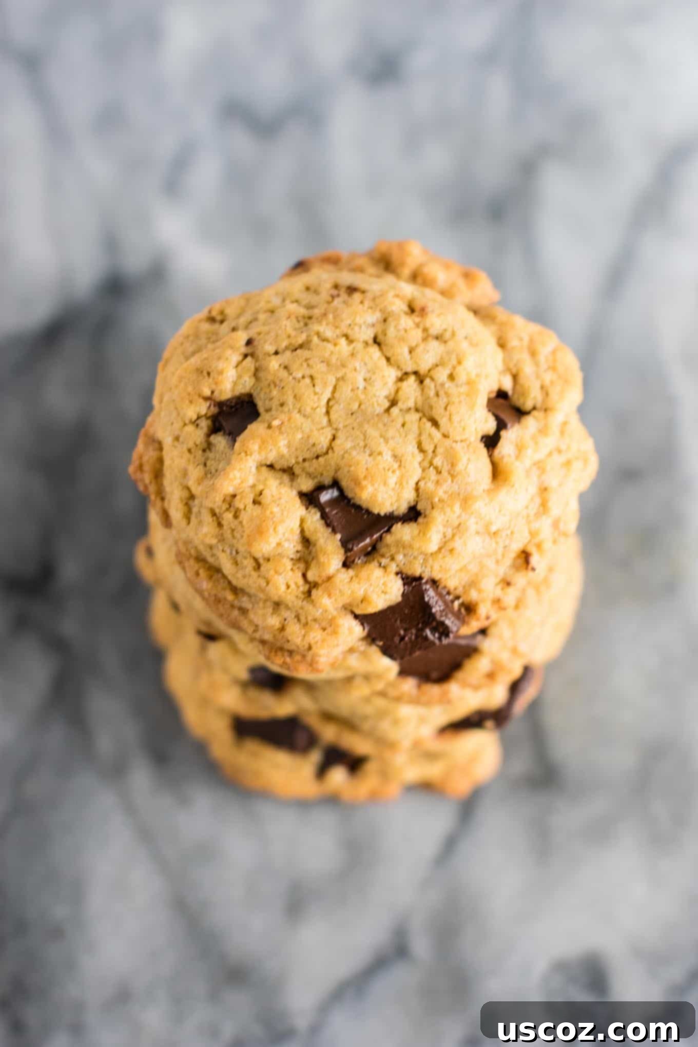 Signature Chocolate Chunk Cookies 4 Discover the secret to the BEST homemade chocolate chunk cookies. A simple, delicious recipe that everyone will adore. #cookies #chocolatechunk #desserts #dairyfree #wholewheat