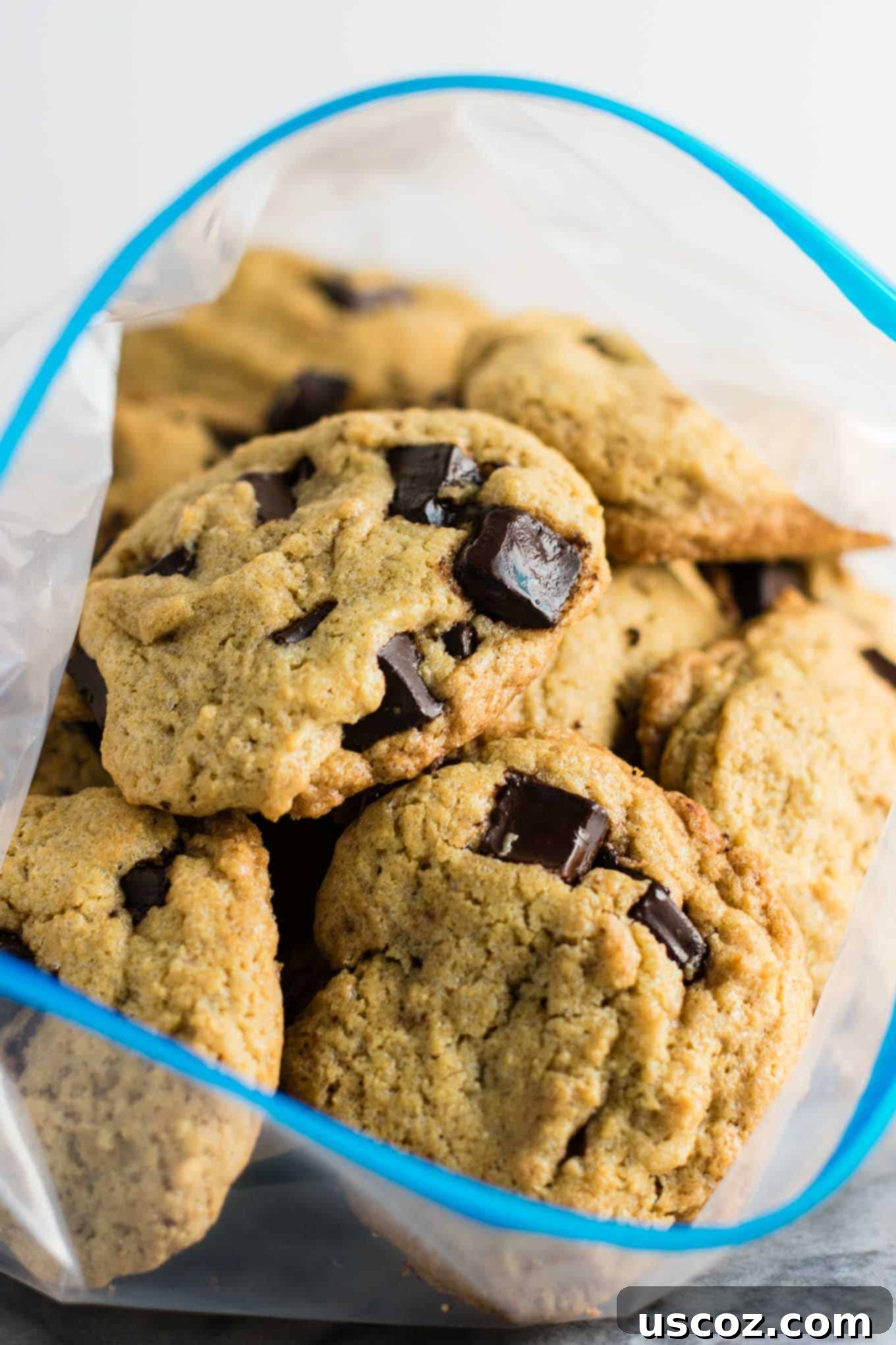 Signature Chocolate Chunk Cookies 7 Experience cookie perfection with this classic chocolate chunk cookie recipe. Easy to make and always a favorite! #cookies #chocolatechunk #desserts #dairyfree #wholewheat