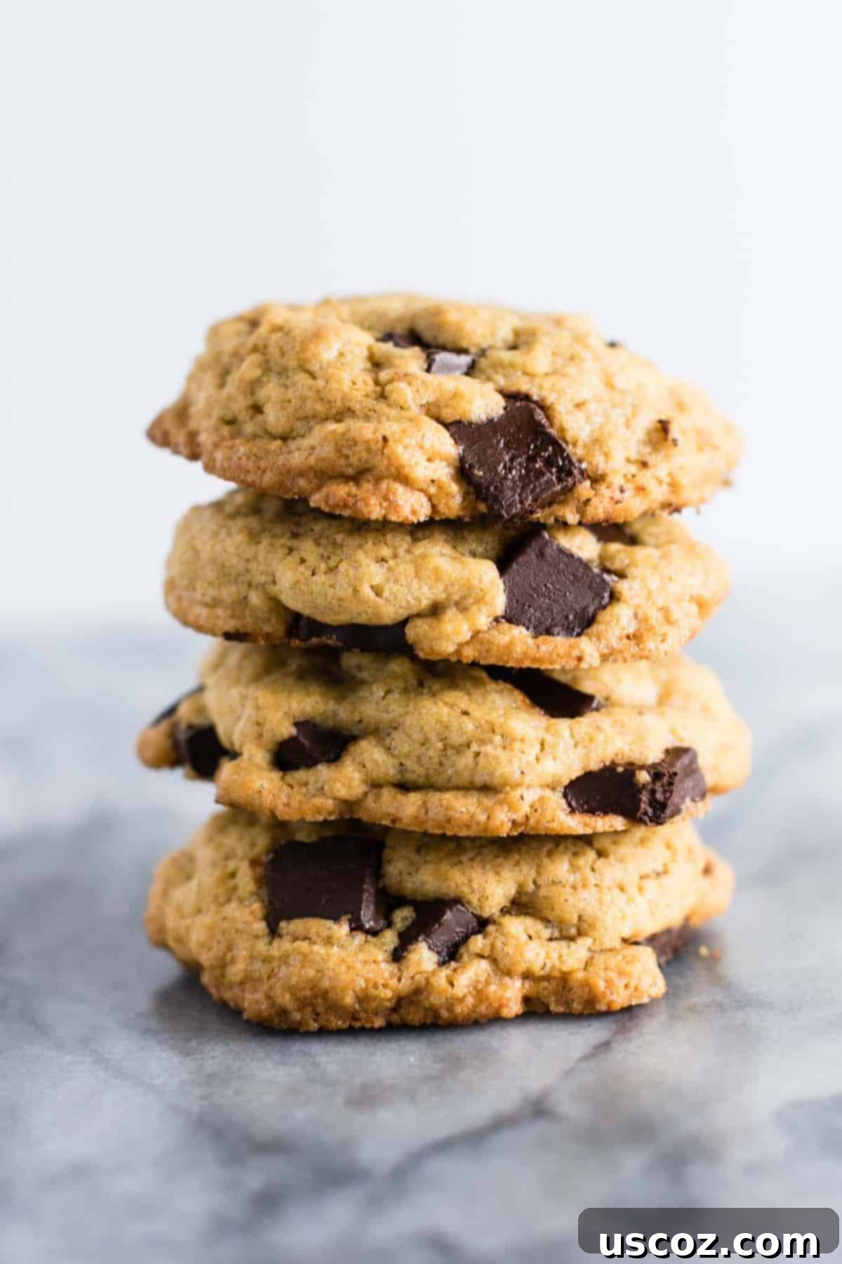 Signature Chocolate Chunk Cookies 8 Bake a batch of love with these classic chocolate chunk cookies. The ideal comfort food or thoughtful gift. #cookies #chocolatechunk #desserts #dairyfree #wholewheat