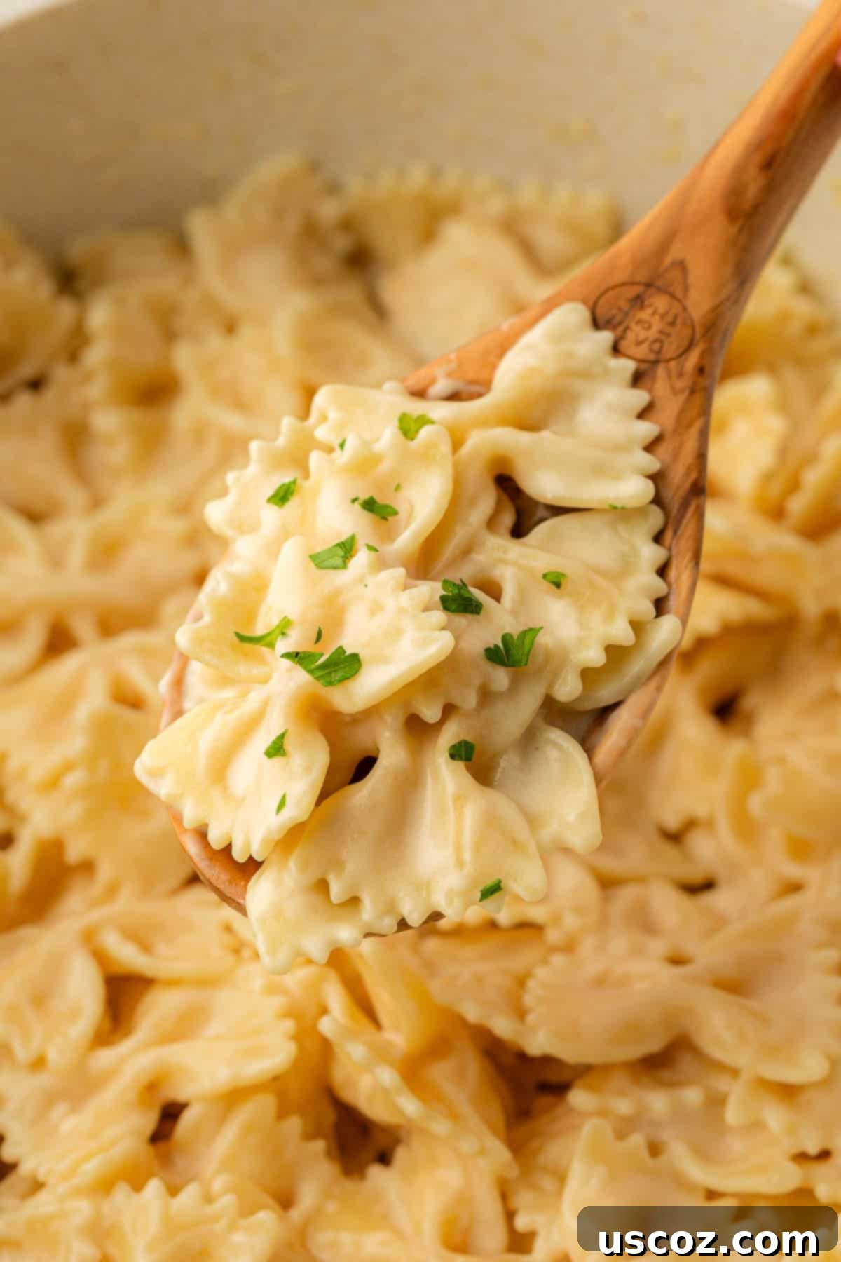 Farfalle 14 wooden spoon with bow tie pasta