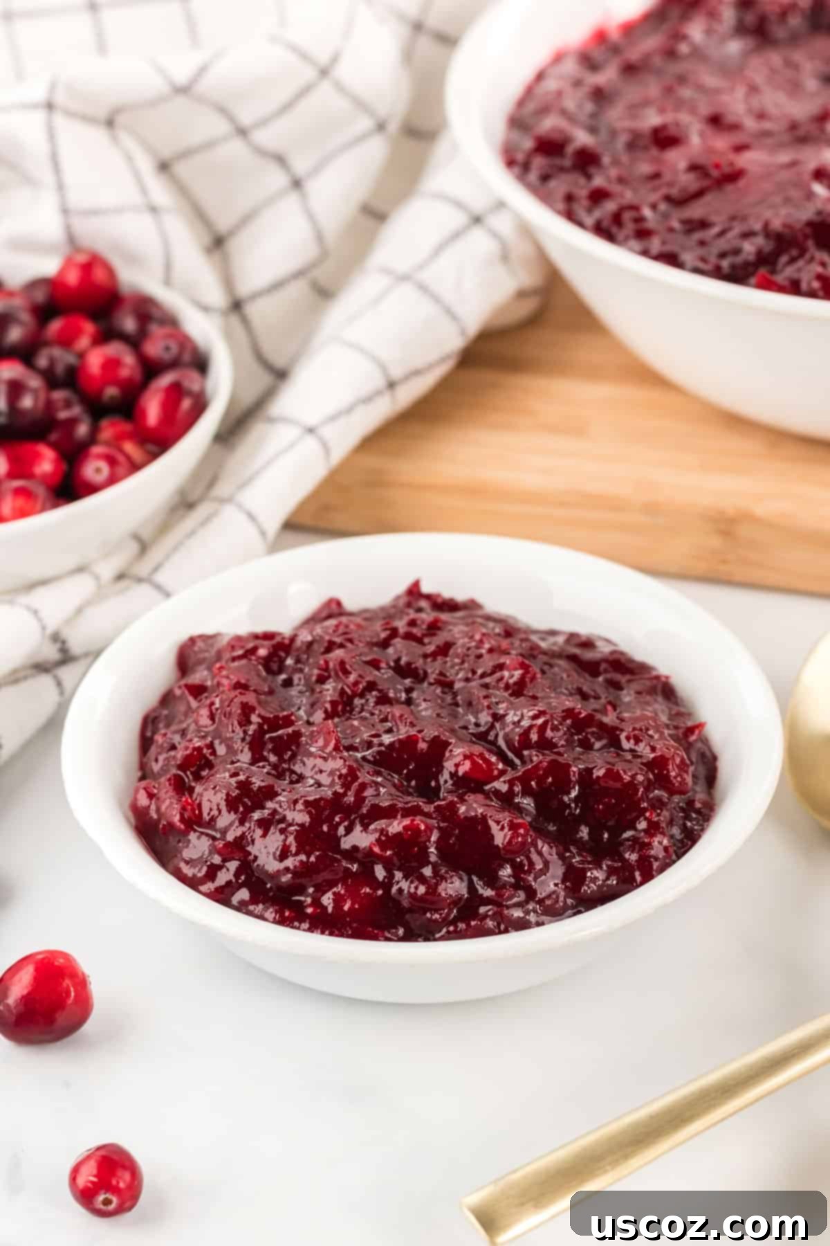 Perfect Homemade Cranberry Sauce 7 A close-up shot of homemade cranberry sauce in a white bowl, garnished with fresh cranberries, perfect for a holiday spread