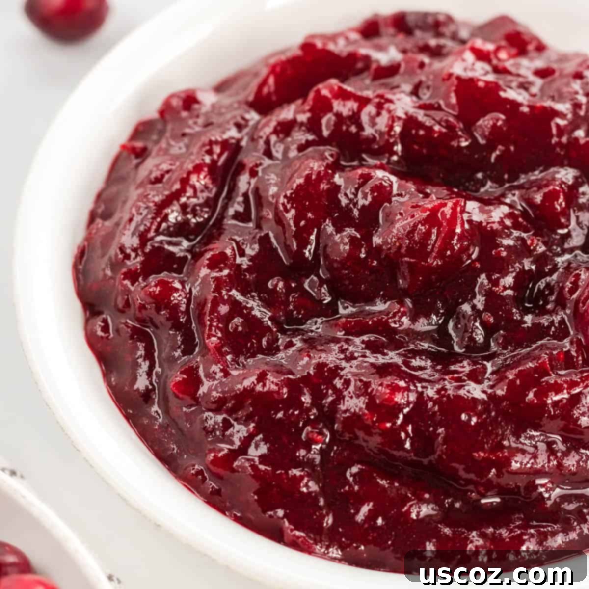 Perfect Homemade Cranberry Sauce 8 A large white bowl filled with homemade cranberry sauce, garnished with fresh cranberries, positioned for a festive gathering