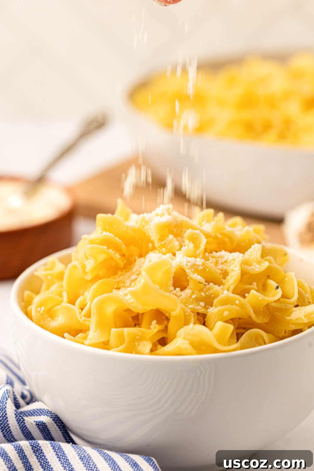 Delicious Garlic Butter Noodles 12 egg oodles sprinkled with parmesan cheese