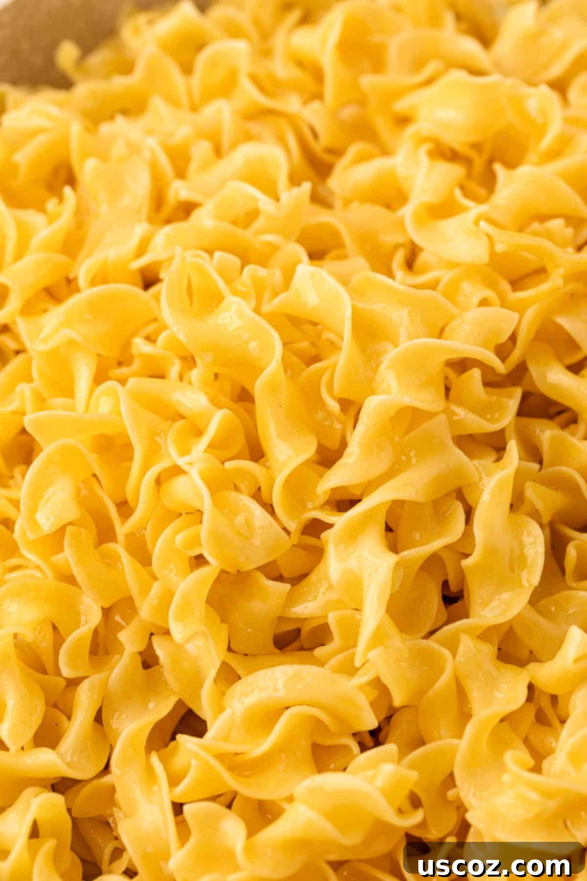 Delicious Garlic Butter Noodles 3 garlic butter egg noodles