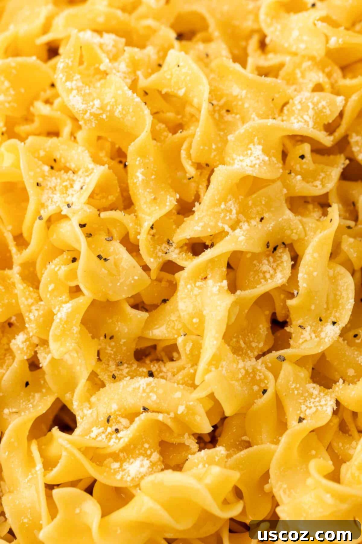 Delicious Garlic Butter Noodles 9 garlic butter noodles topped with pepper and parmesan cheese