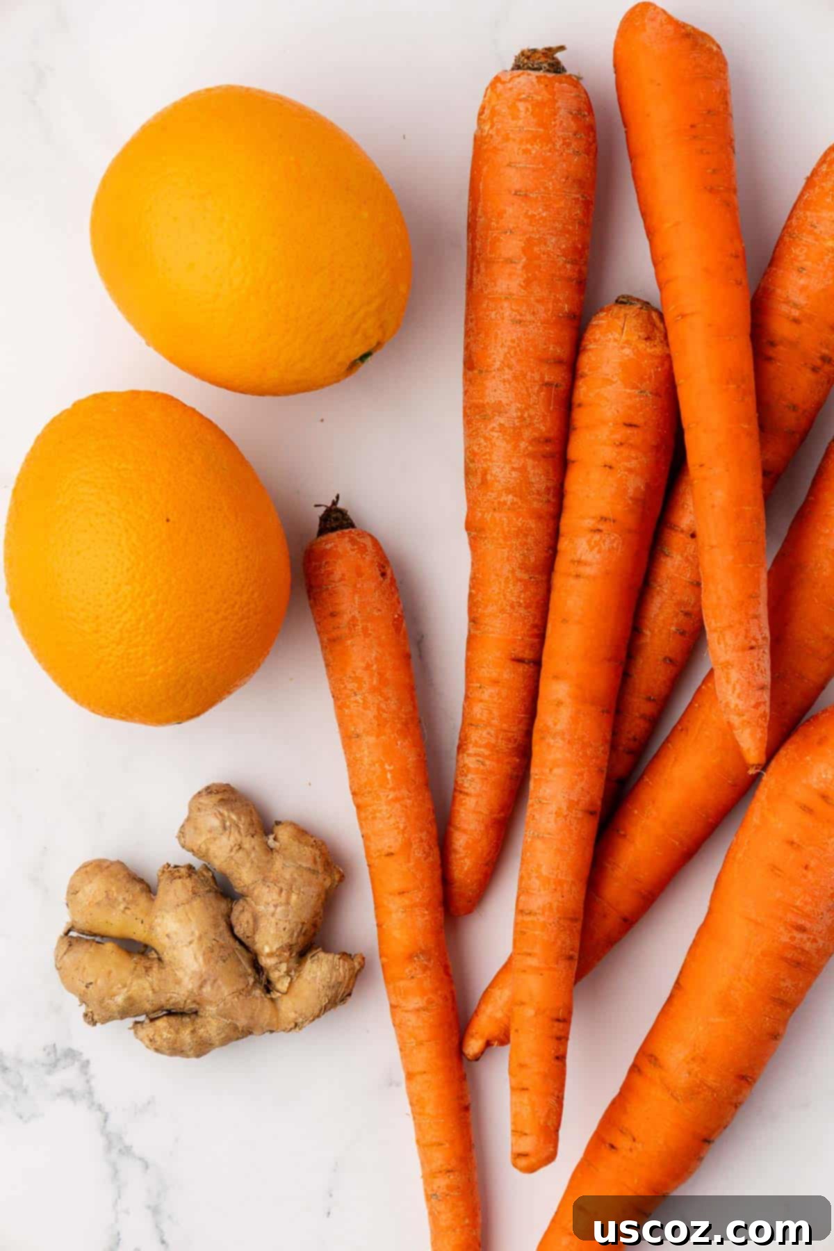 Vibrant Carrot Elixir 4 carrots, oranges, and ginger