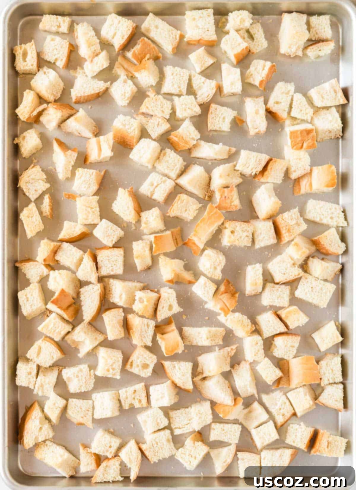 Bread cubes evenly spread on a baking sheet for toasting