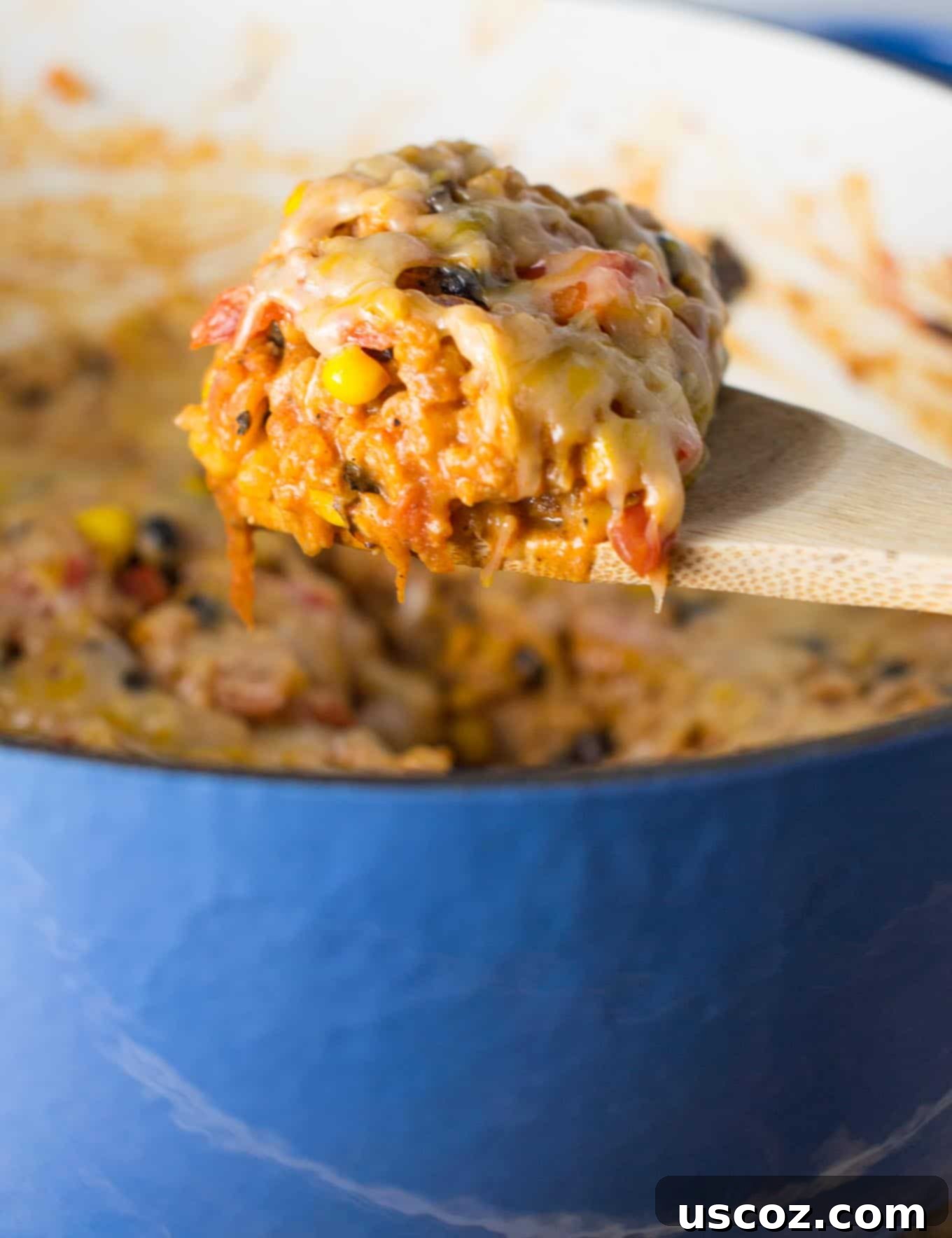 Hearty Vegetarian Mexican Bake 15 Easy vegetarian mexican rice casserole recipe in a serving bowl