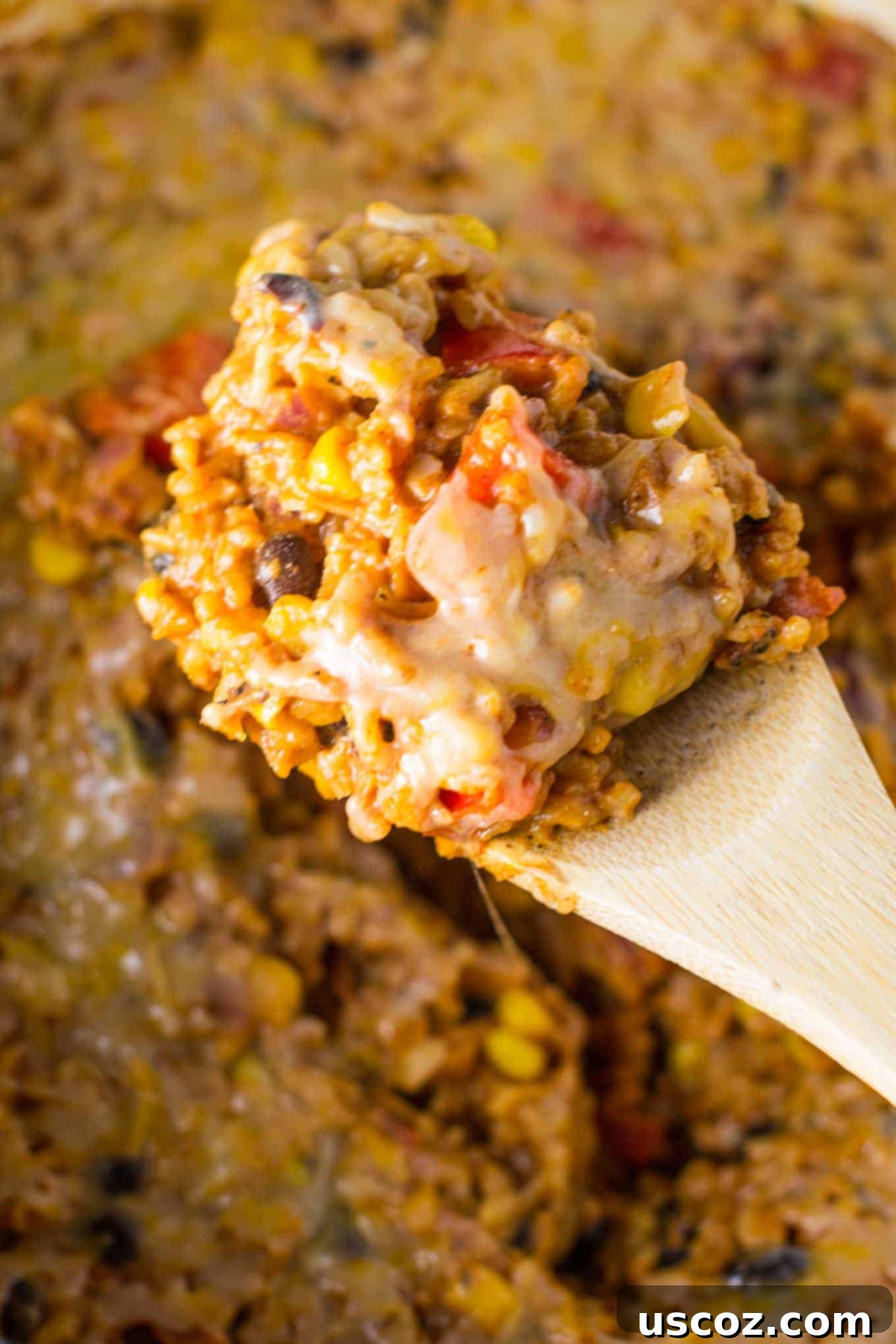Hearty Vegetarian Mexican Bake 6 Meatless mexican rice casserole base ingredients