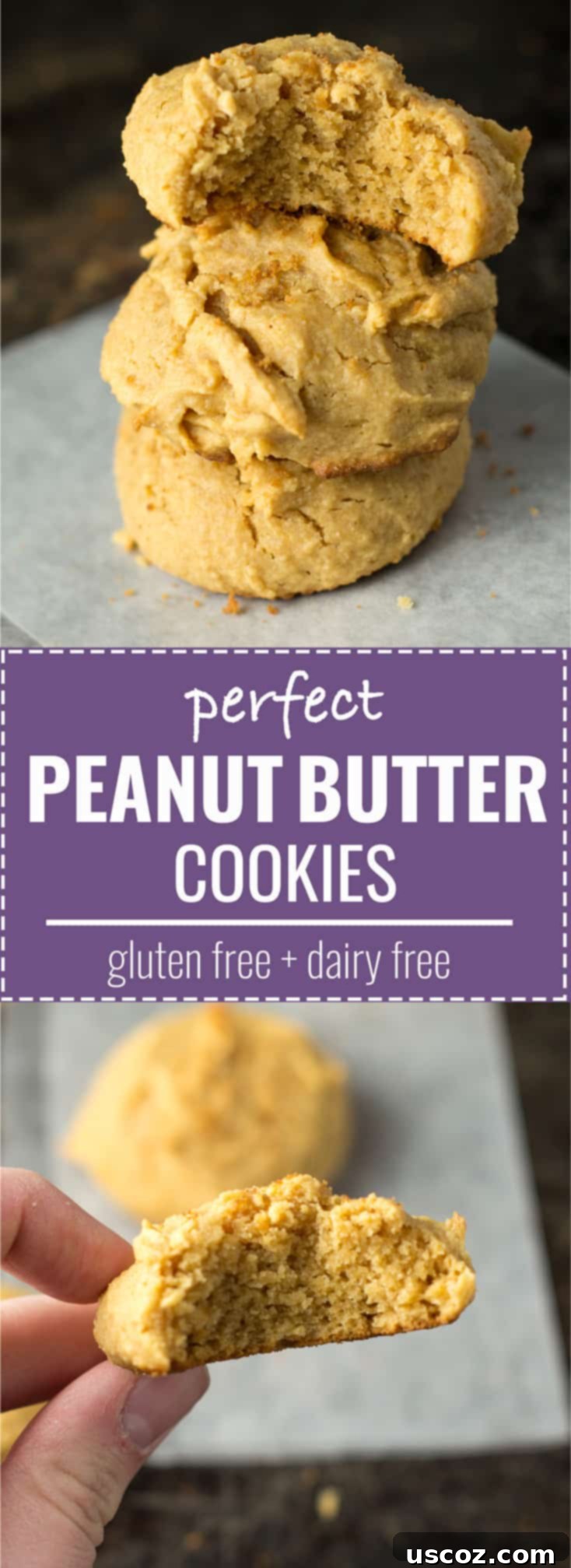 Pinterest-friendly image featuring a pile of gluten-free, dairy-free peanut butter cookies.