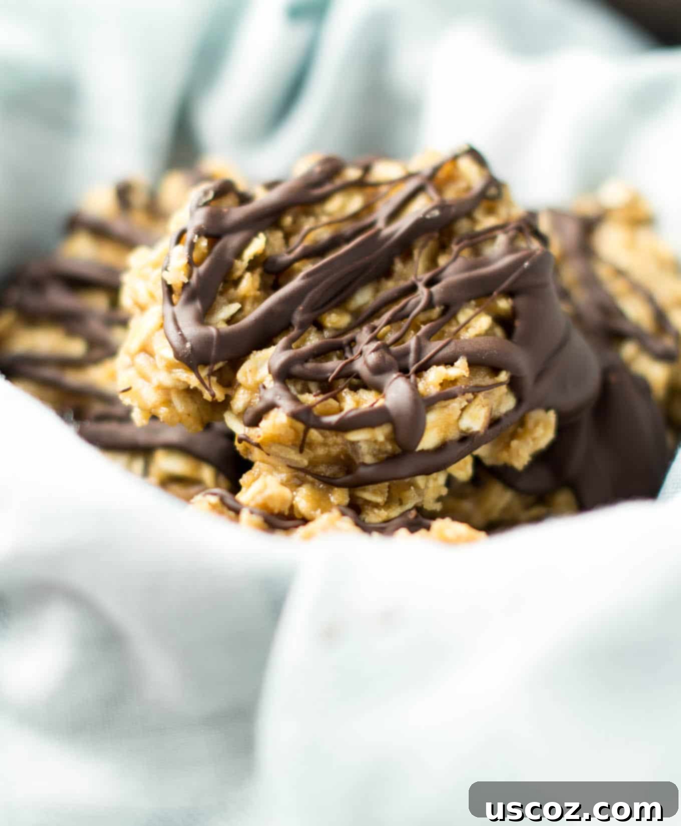 Wholesome Peanut Butter No Bake Bites 2 healthy peanut butter no bake cookies
