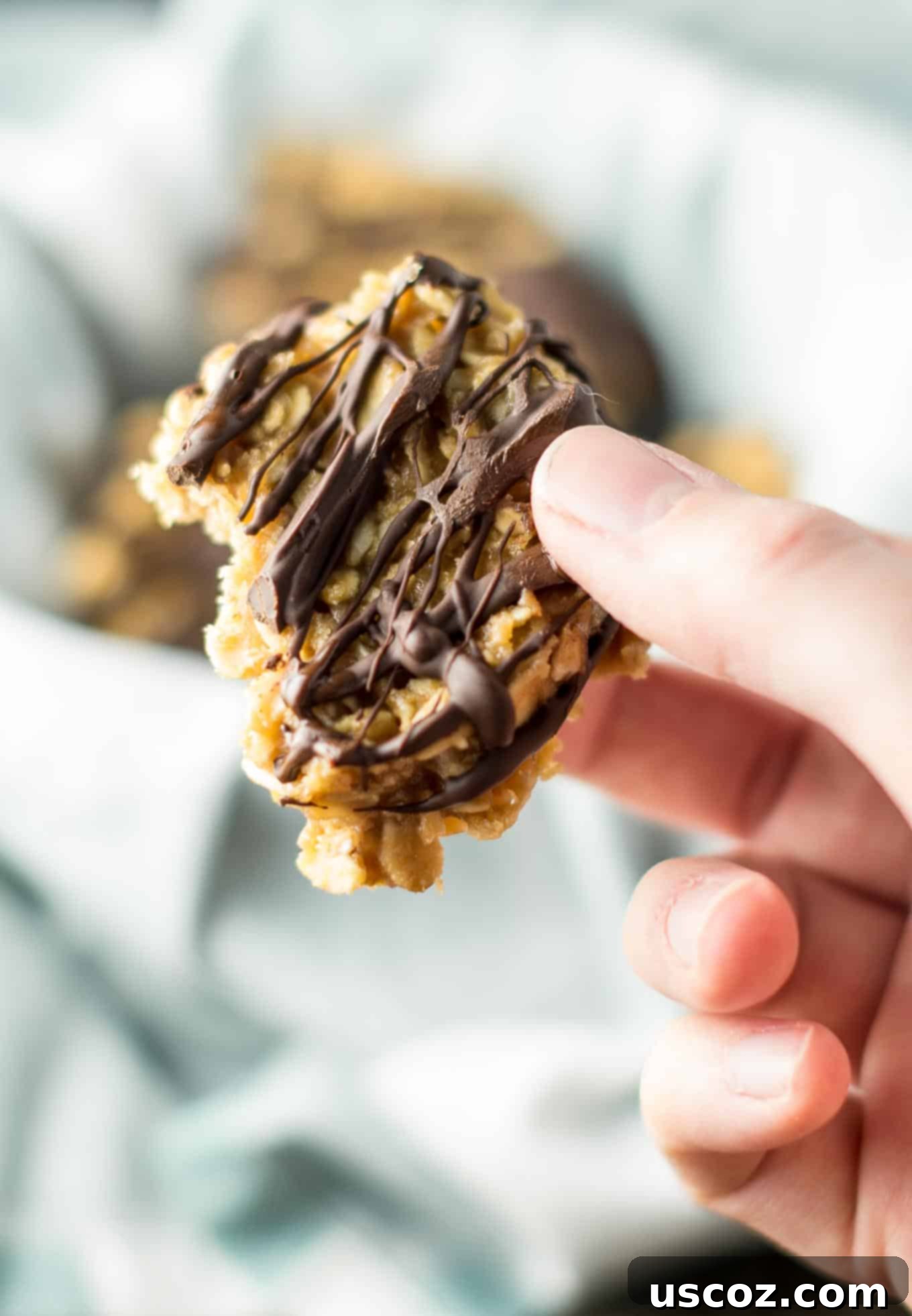 Wholesome Peanut Butter No Bake Bites 6 healthy peanut butter no bake cookies