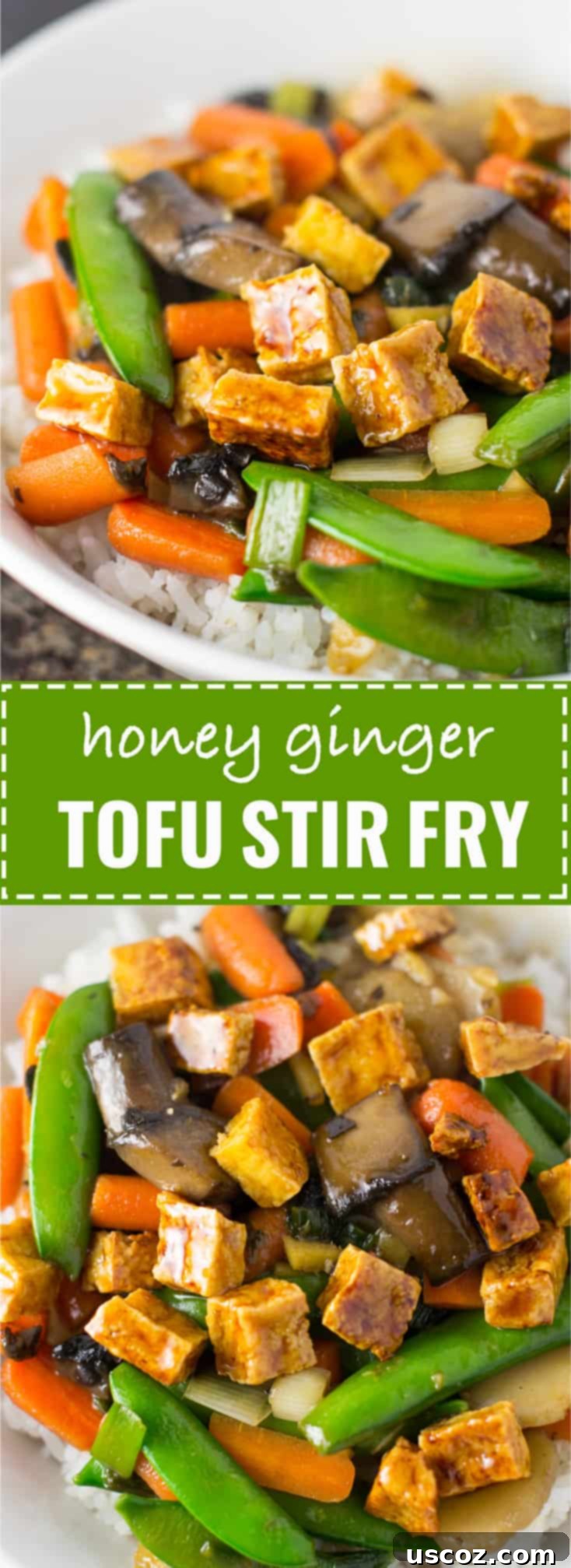 Golden Honey-Ginger Tofu Delight 7 Large serving bowl filled with Honey Ginger Tofu Stir Fry and rice, garnished with green onions and sesame seeds
