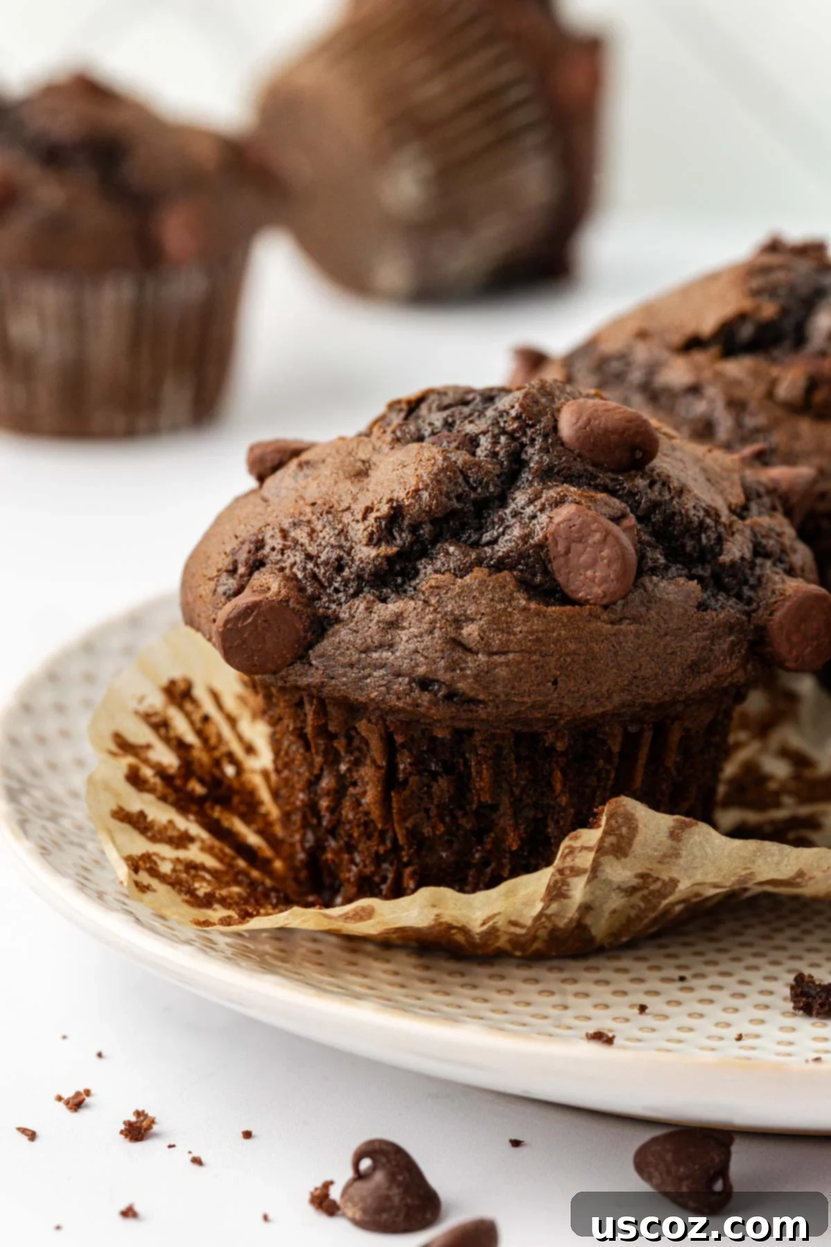 Irresistible Double Chocolate Cake Mix Muffins 2 chocolate muffin on a plate, showcasing its rich texture