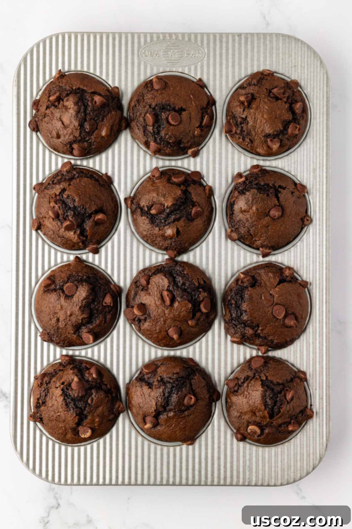 Irresistible Double Chocolate Cake Mix Muffins 12 freshly baked chocolate muffins in the muffin tin