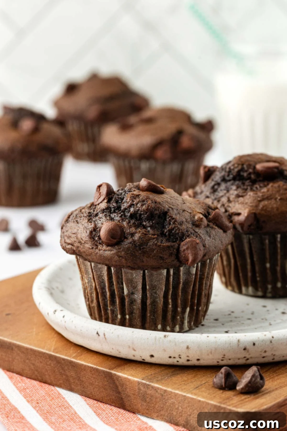 Irresistible Double Chocolate Cake Mix Muffins 14 a single double chocolate muffin presented elegantly on a white plate
