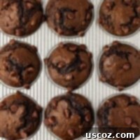 Irresistible Double Chocolate Cake Mix Muffins 15 chocolate muffins in the muffin tin