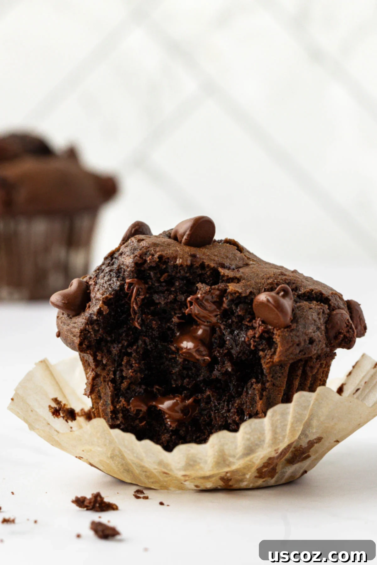 Irresistible Double Chocolate Cake Mix Muffins 3 a chocolate muffin with a bite taken out, revealing its moist interior