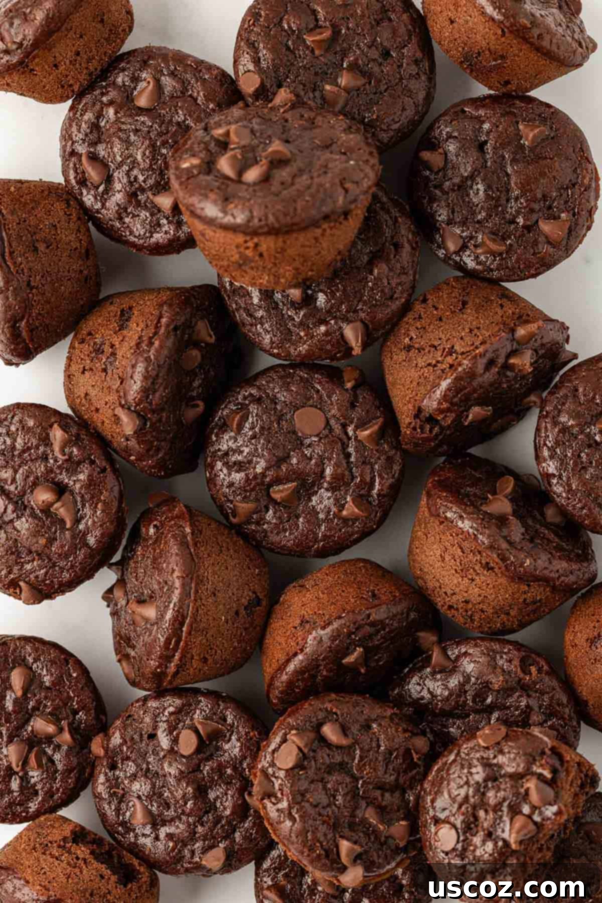 Guilt-Free Chocolate Mini Muffins 2 Healthy chocolate mini muffins, perfect for a quick snack or lunchbox treat.