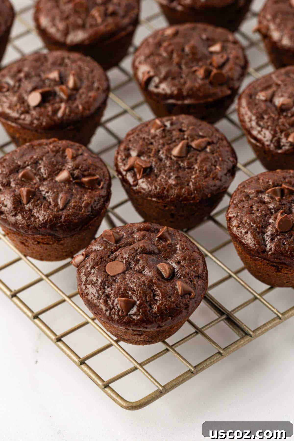 Guilt-Free Chocolate Mini Muffins 15 Freshly baked chocolate mini muffins cooling on a wire rack.
