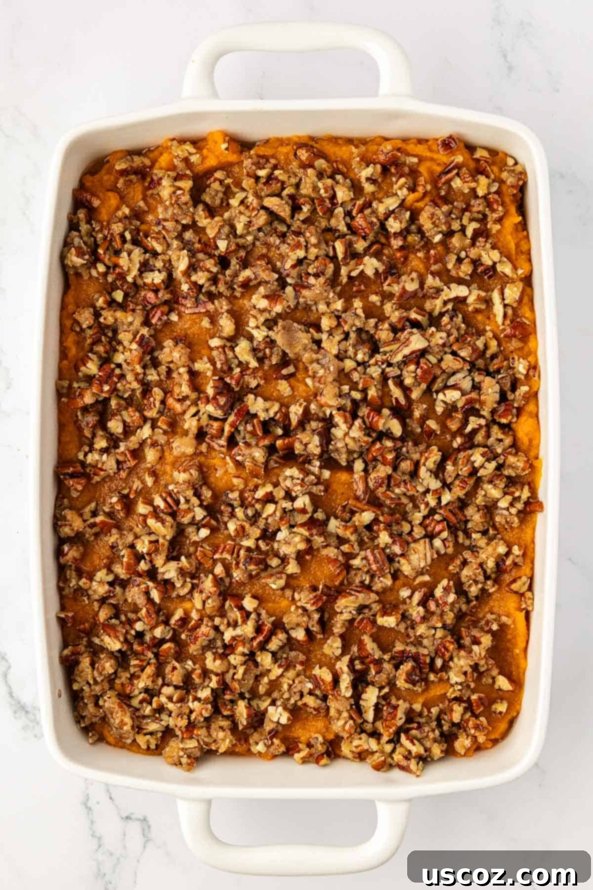 Golden Sweet Potato & Pecan Delight 12 A freshly baked sweet potato casserole with a perfectly golden and crisp pecan topping, bubbling slightly at the edges, ready to be enjoyed.