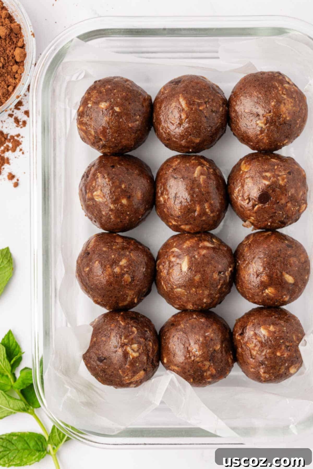 Mint Chocolate Power Bites 8 mint chocolate energy bites in a storage container